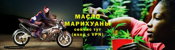гашик Гусев