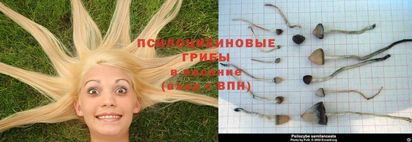 не бодяженный Конаково
