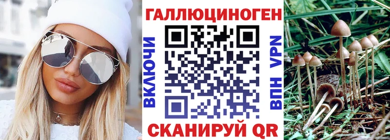 купить наркоту  Гремячинск  Галлюциногенные грибы Cubensis 